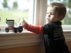 Quin and his Ventrac